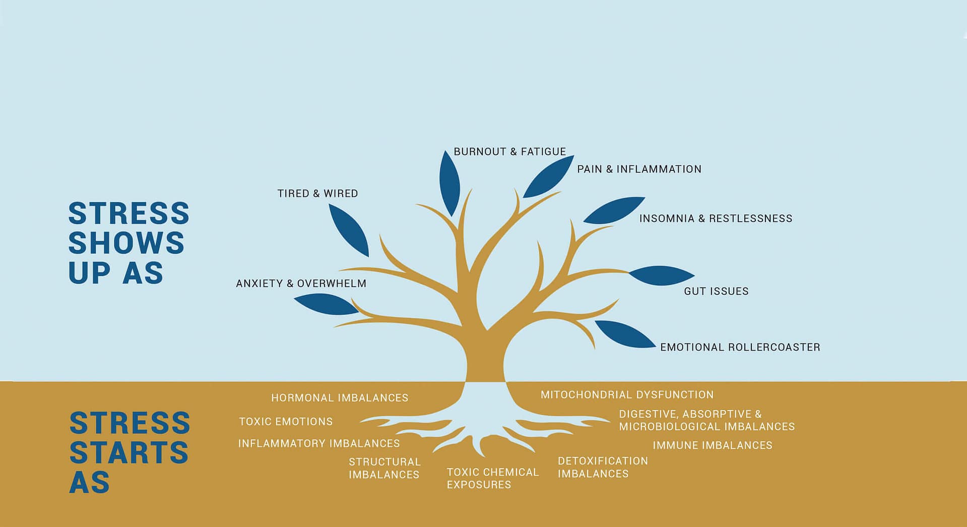 Functional Medicine