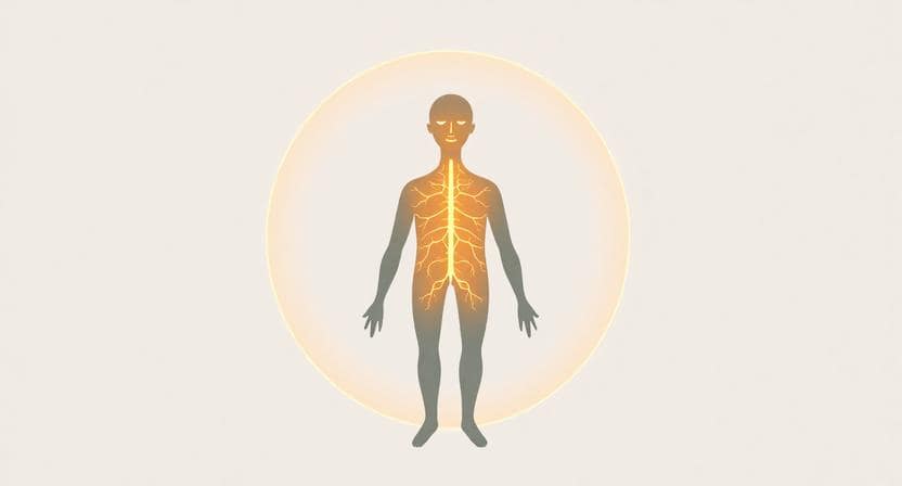 nervous system boundaries